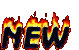 Holy Grail Fire